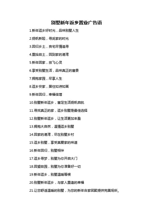 别墅新年返乡置业广告语