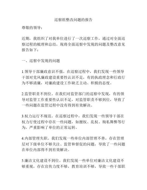 巡察组整改问题的报告