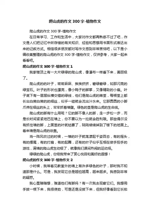 爬山虎的作文300字-植物作文