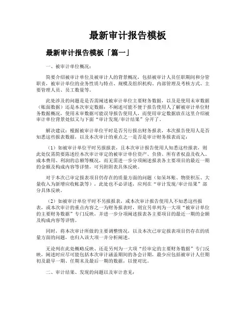 审计报告模板