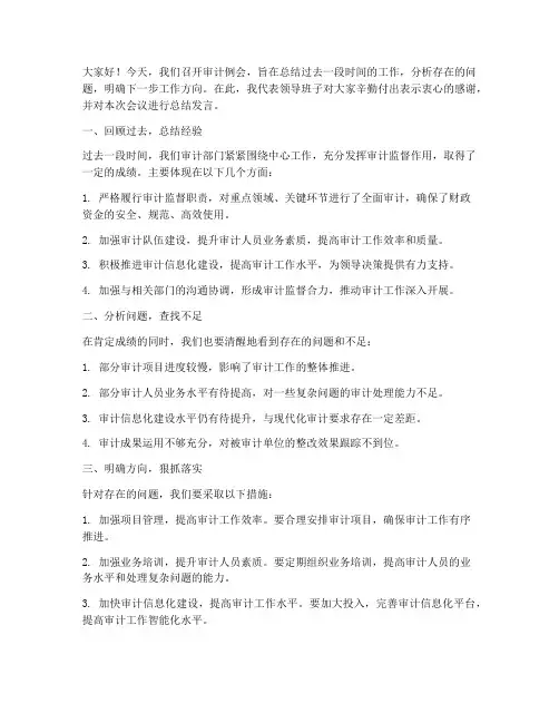 审计例会领导总结发言稿