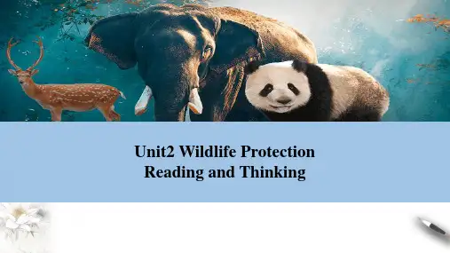 UNIT2READINGFORWRITING课件高中英语人教版必修第二册