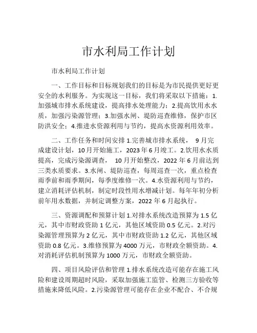 市水利局工作计划