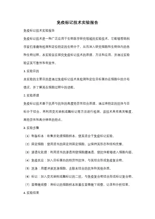免疫标记技术实验报告