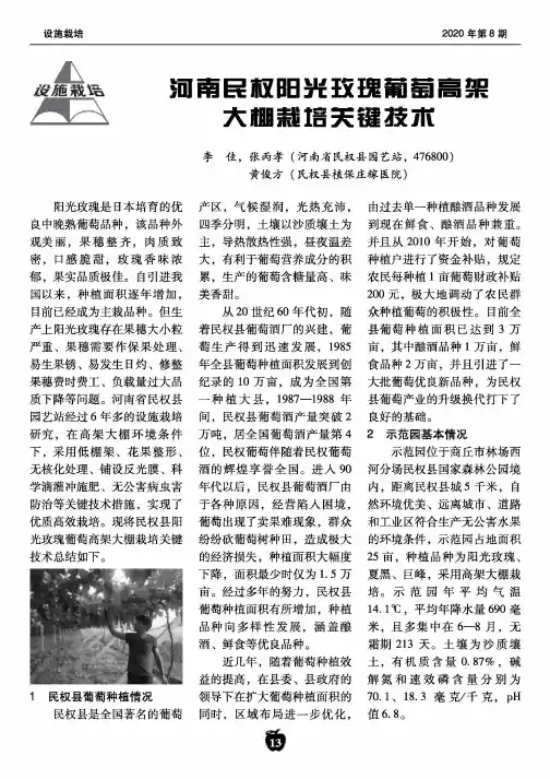 河南民权阳光玫瑰葡萄高架大棚栽培关键技术