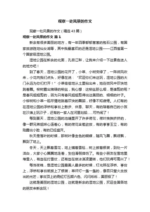 观察一处风景的作文（精选43篇）