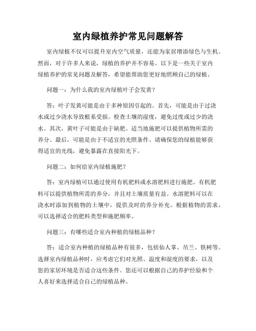 室内绿植养护常见问题解答