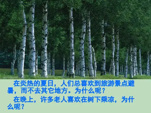 初中生物蒸腾作用PPT课件