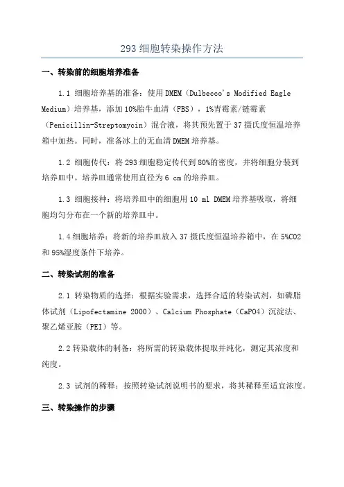 293细胞转染操作方法