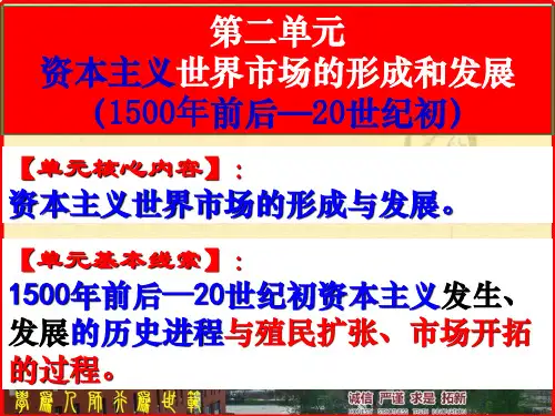 20世纪初资本主义发生、发展的历史进程与殖民扩张