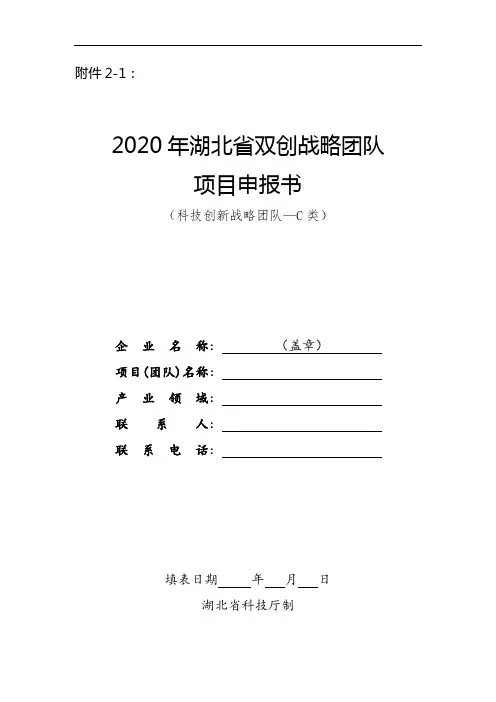 2020年湖北省双创战略团队项目申报书及附件材料目录(科技创新战略团队--C类)