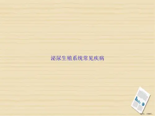 泌尿生殖系统常见疾病讲课文档