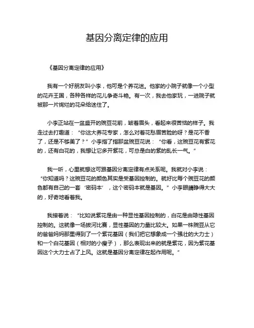 基因分离定律的应用