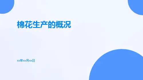 棉花生产的概况