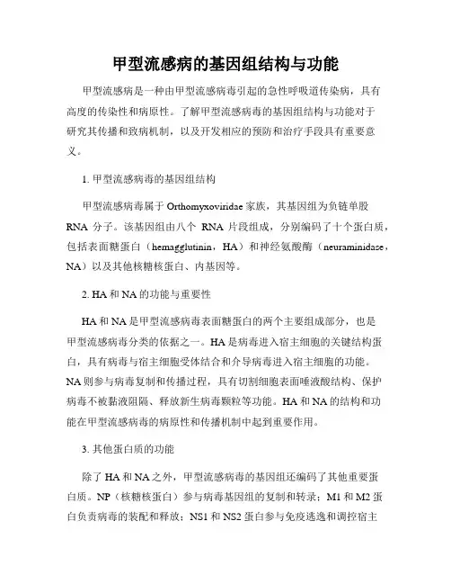 甲型流感病的基因组结构与功能