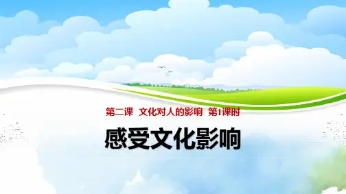 高中政治必修3精品课件6：2.1感受文化影响