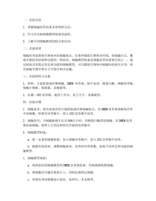 制备细胞模型实验报告