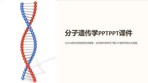 分子遗传学PPTPPT课件