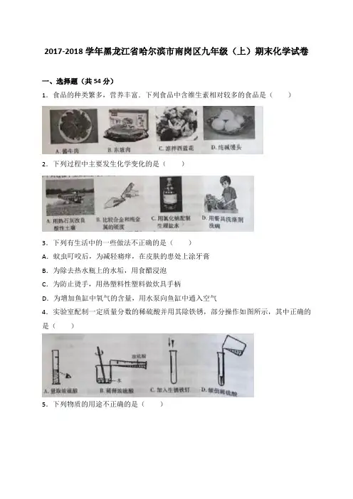 黑龙江省哈尔滨市南岗区2018届九年级上学期期末考试化学试卷(WORD版)