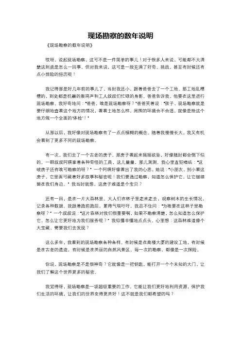 现场勘察的数年说明