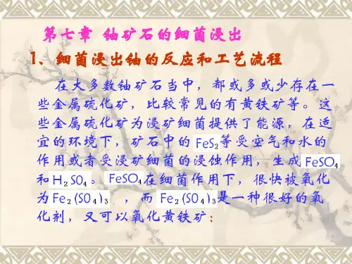 第七章  铀矿石的细菌浸出