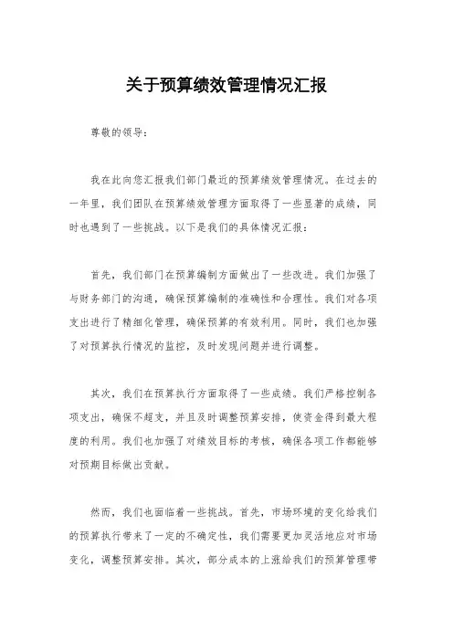关于预算绩效管理情况汇报