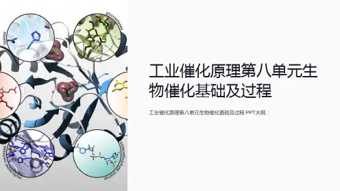 工业催化原理第八单元生物催化基础及过程
