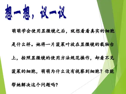 2.植物细胞课件(人教版生物)