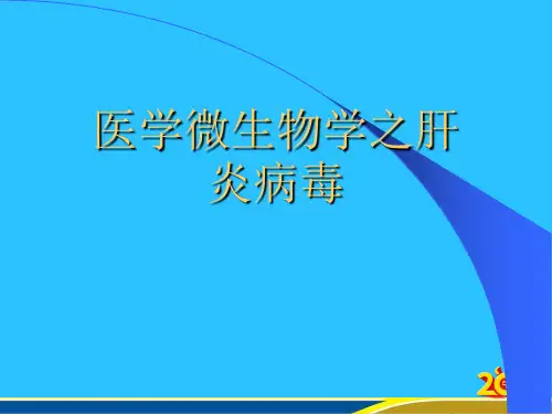 医学微生物学之肝炎病毒常用资料