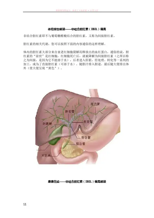 体检报告解读——非结合胆红素(ibil)偏高