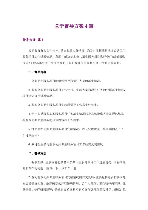 关于督导方案4篇
