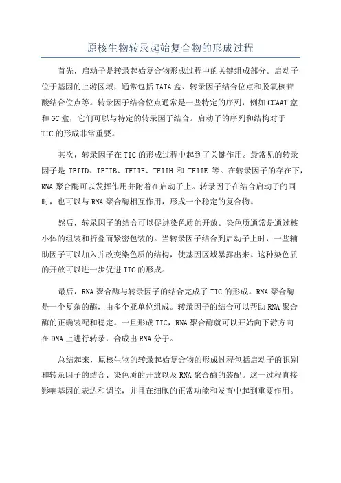 原核生物转录起始复合物的形成过程