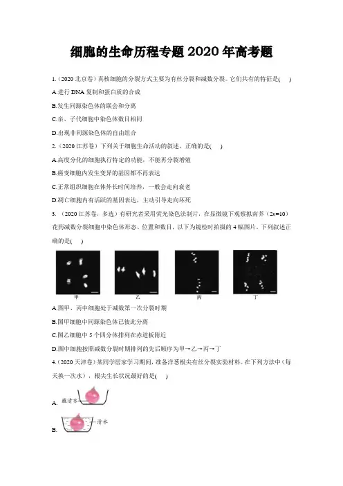细胞的生命历程专题2020年高考题汇总附答案
