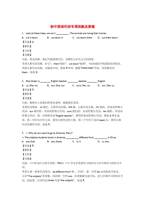 初中英语人称代词专项练习题