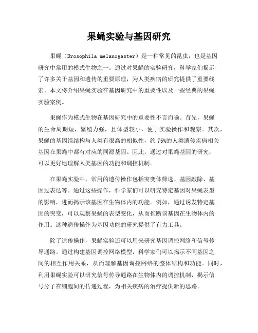果蝇实验与基因研究