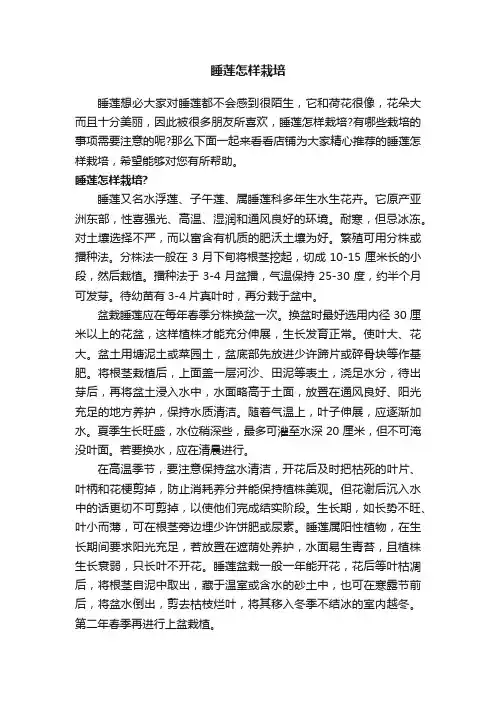 睡莲怎样栽培