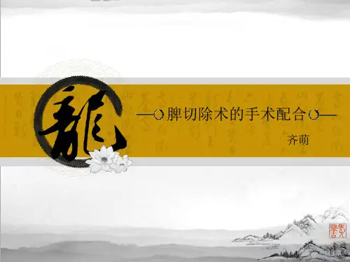 脾切除术的手术配合PPT课件