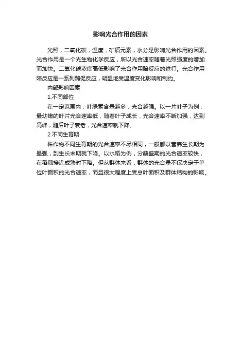 影响光合作用的因素