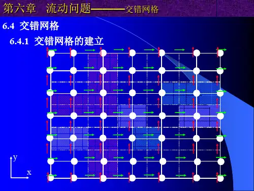 第六章流动问题(交错网格)