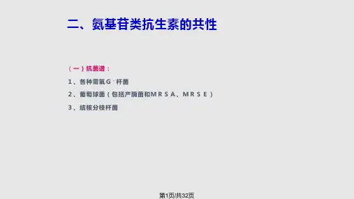 药理学课件--氨基糖苷类抗生素PPT课件