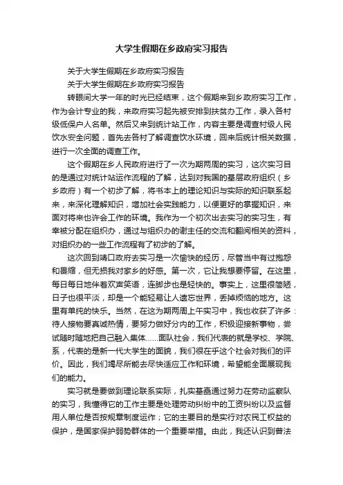 关于大学生假期在乡政府实习报告