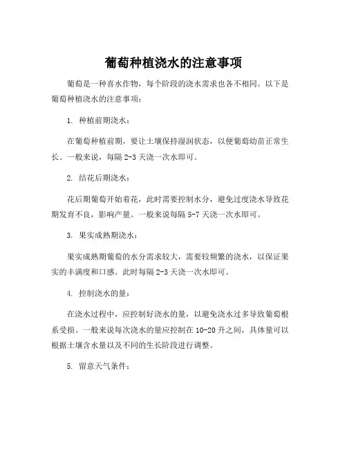 葡萄种植浇水的注意事项