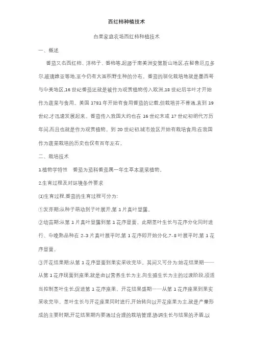 西红柿种植技术