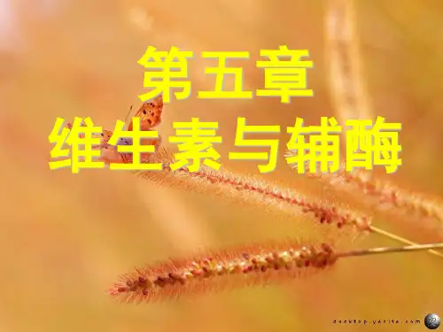 王镜岩生物化学课件维生素与辅酶