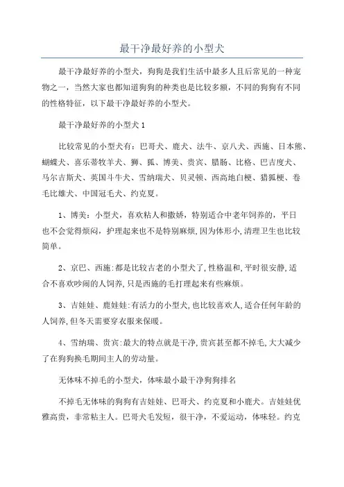 最干净最好养的小型犬