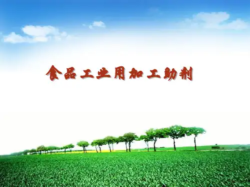 食品工业用加工助剂