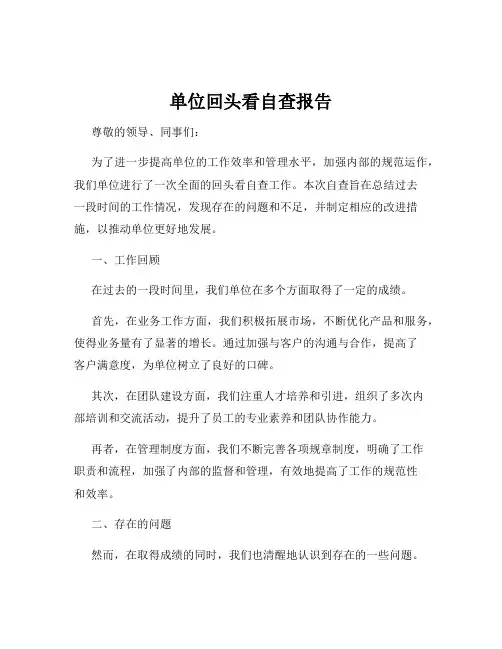 单位回头看自查报告