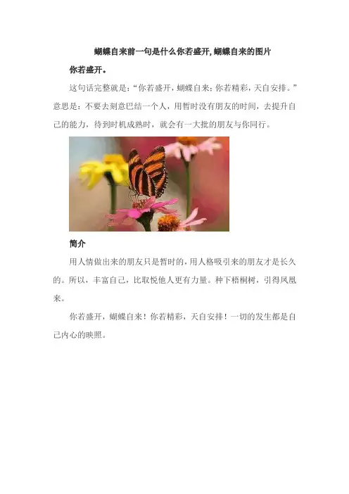 蝴蝶自来前一句是什么你若盛开,蝴蝶自来的图片
