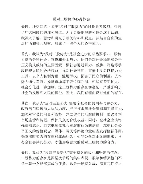 反对三股势力心得体会