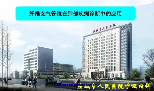 纤维支气管镜活检术在肺部疾病诊断中的应用课件